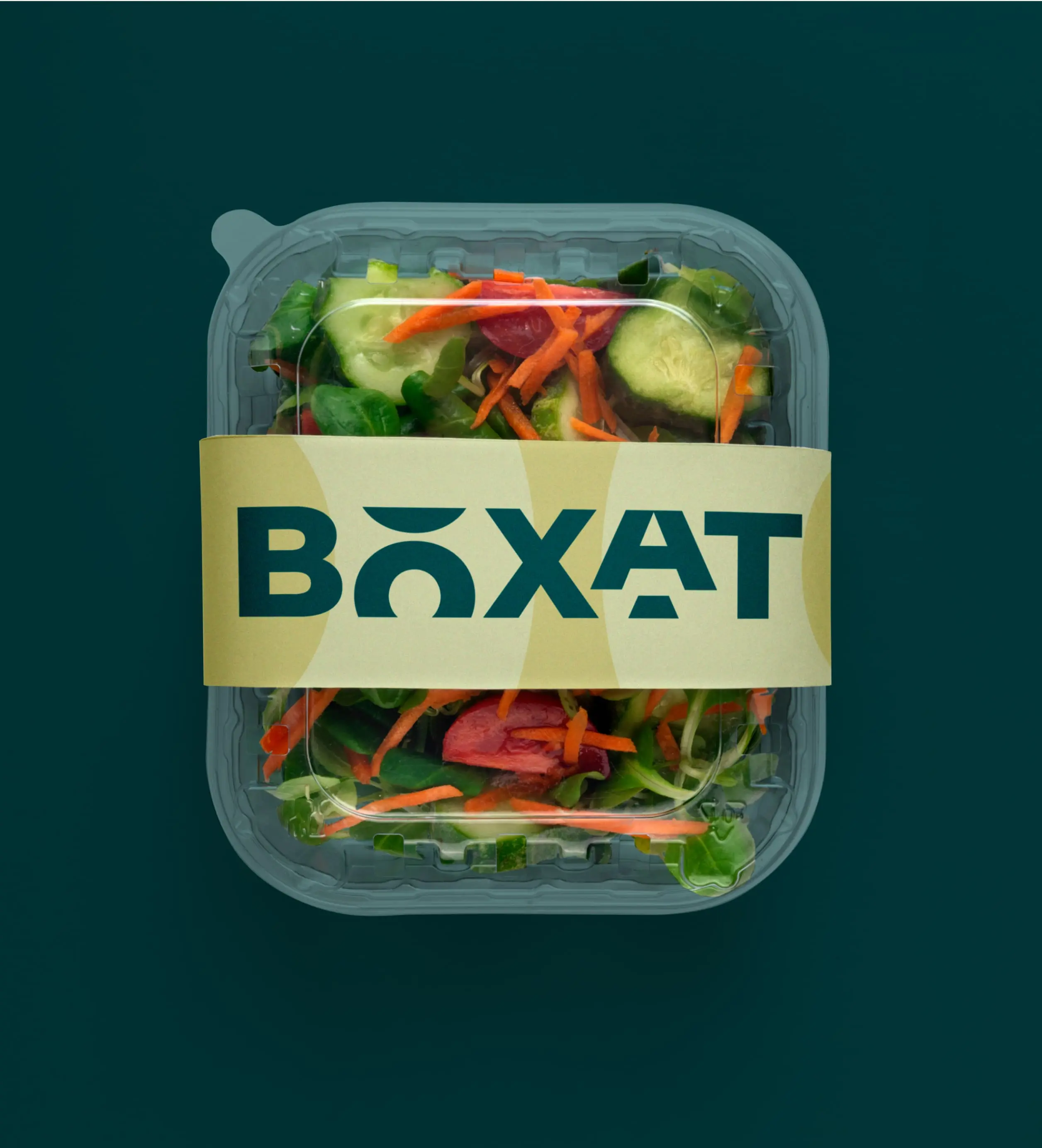 BOXAT Project image 578