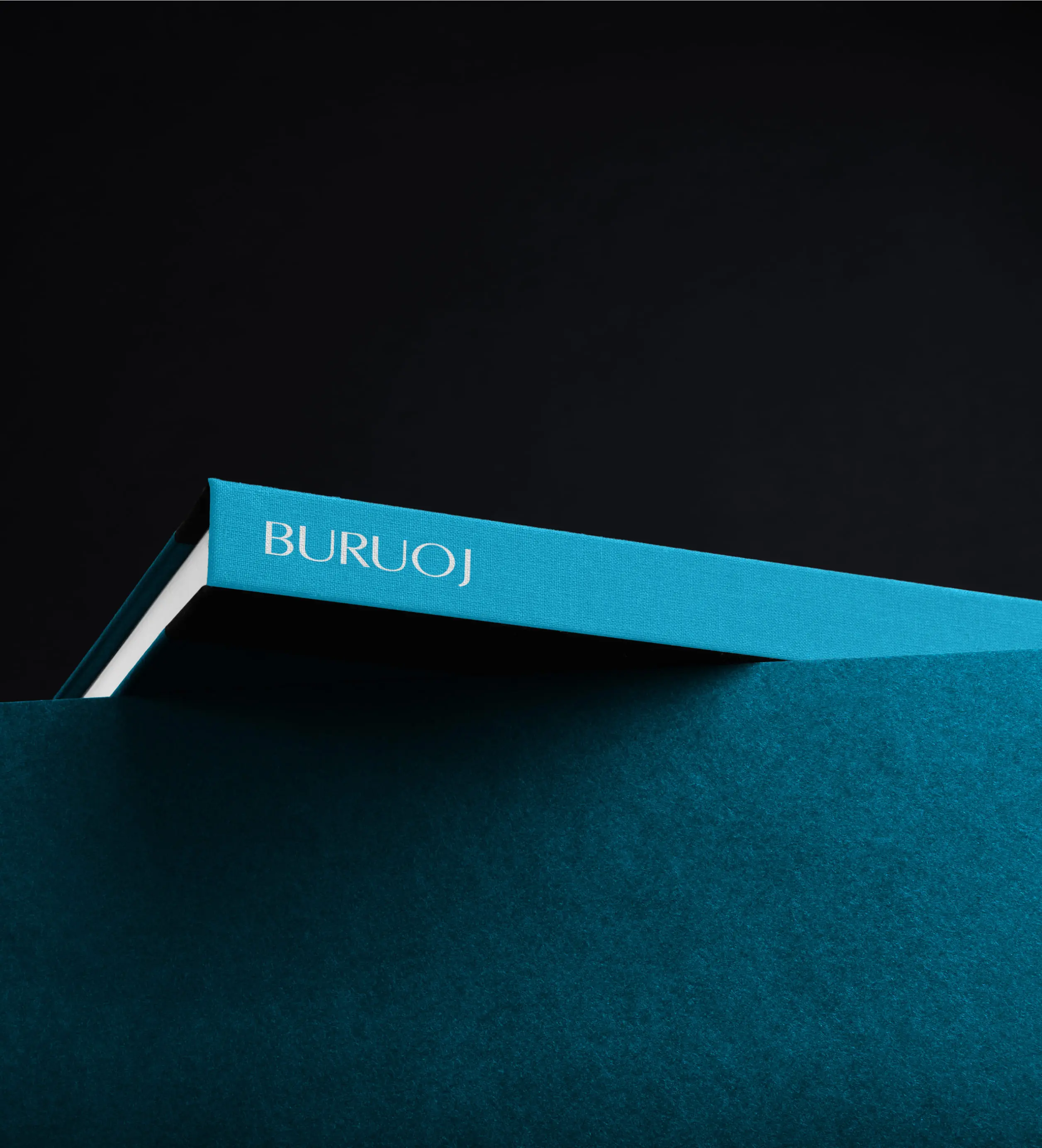 BURUOJ Project image 457