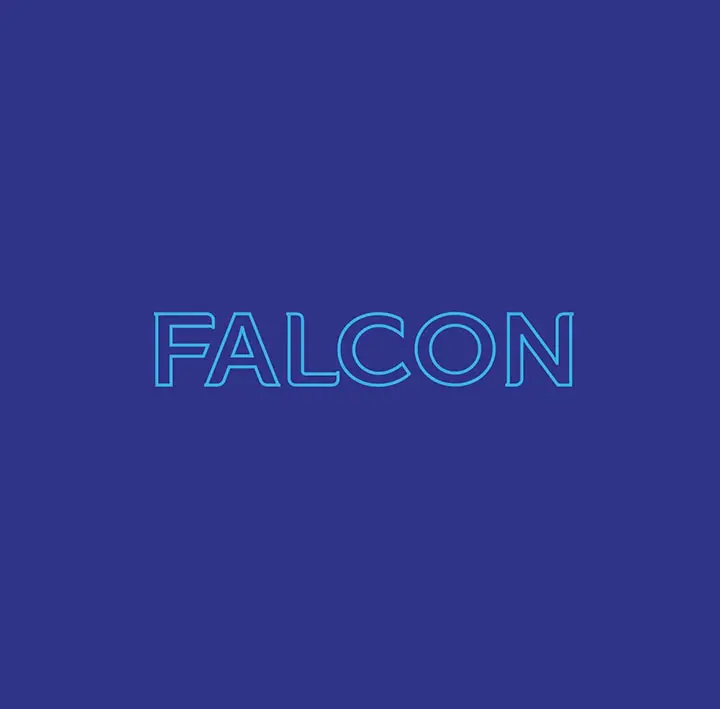 Falcon Project image 158