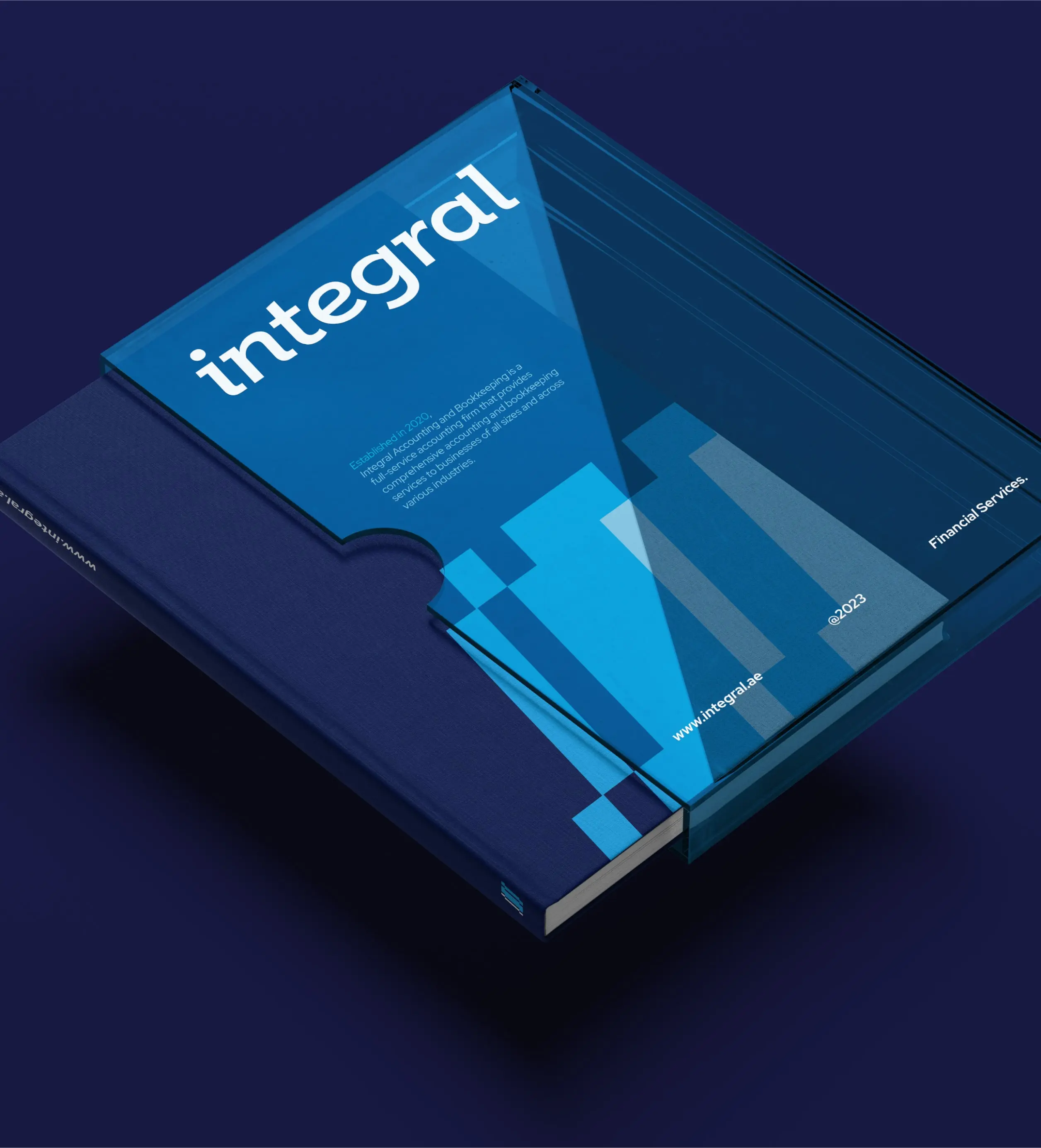 integral Project image 411