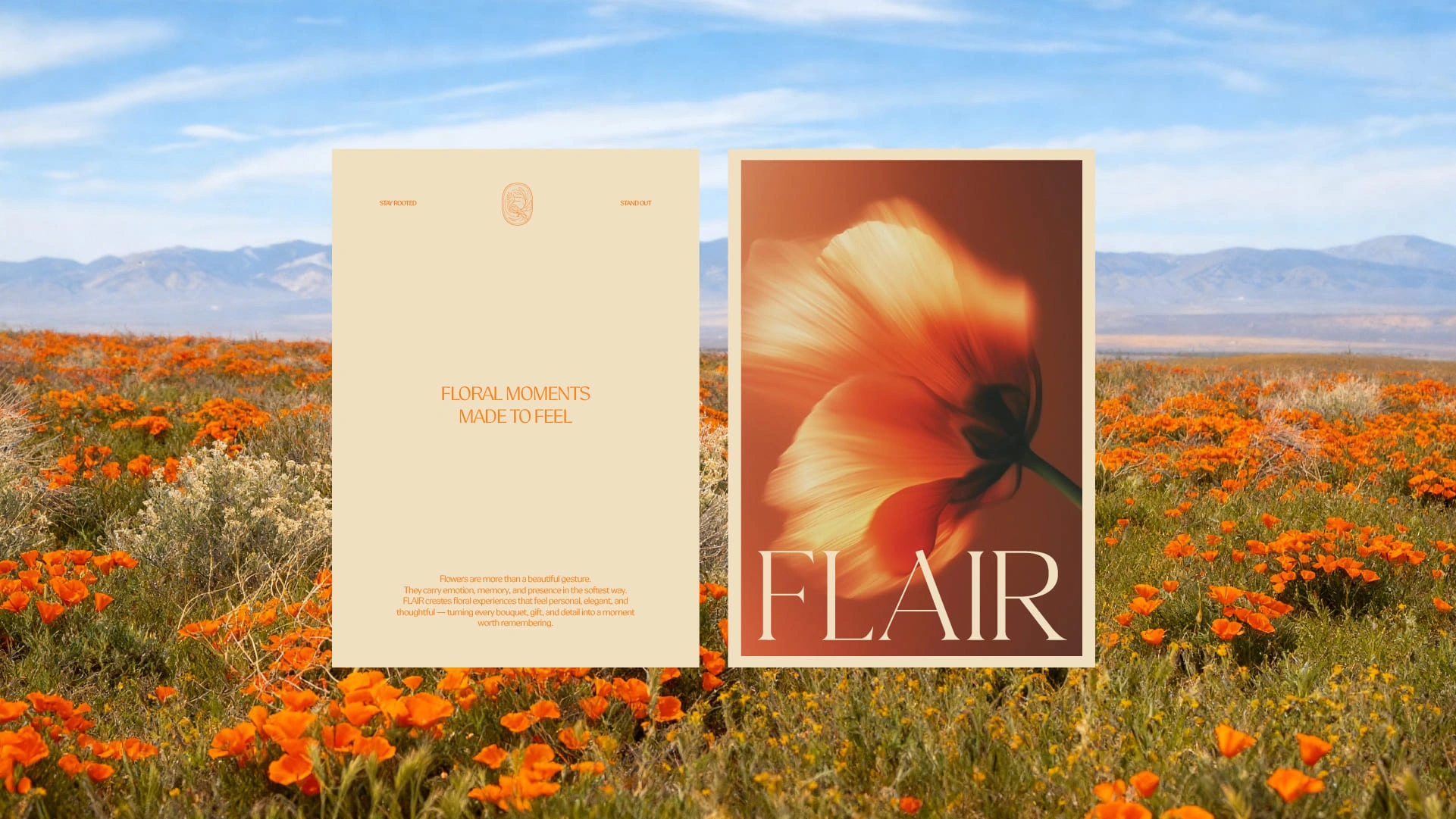 FLAIR Project image 1618