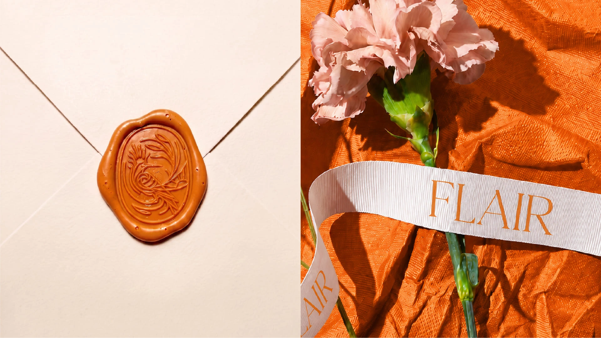 FLAIR Project image 1610